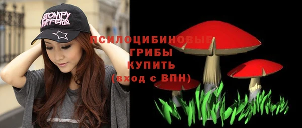 скорость Новодвинск