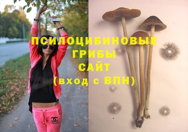 скорость Новодвинск