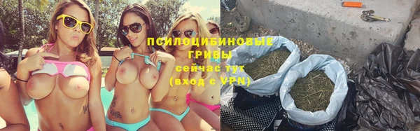 первитин Новозыбков