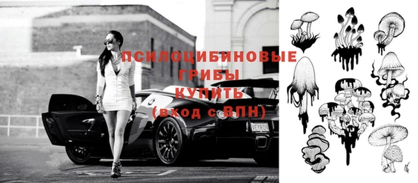 2c-b Новокубанск