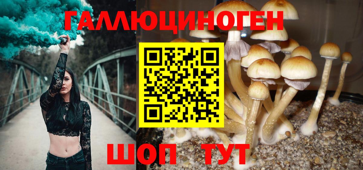 Псилоцибиновые грибы MAGIC MUSHROOMS Ялуторовск