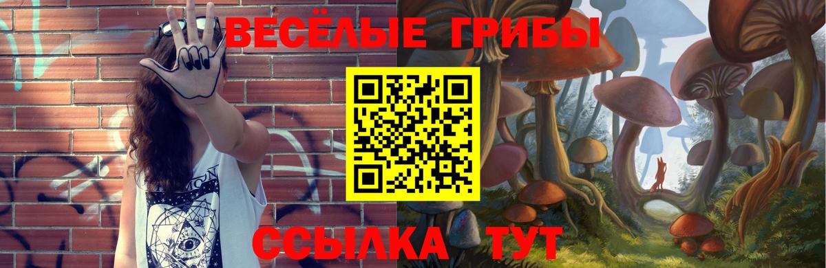 Ялуторовск  Псилоцибиновые грибы Magic Shrooms  Вход с VPN 